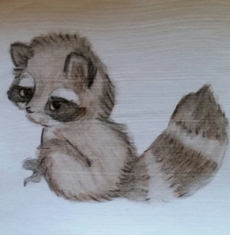 Raccoon Watercolor Magnet