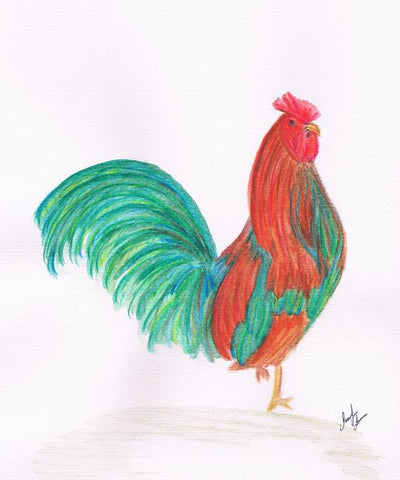 Rooster Colors